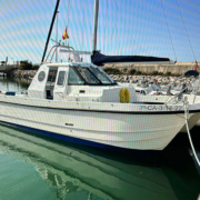 15338-Cheetah-Marine-02