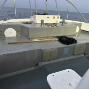 15338-Cheetah-Marine-04