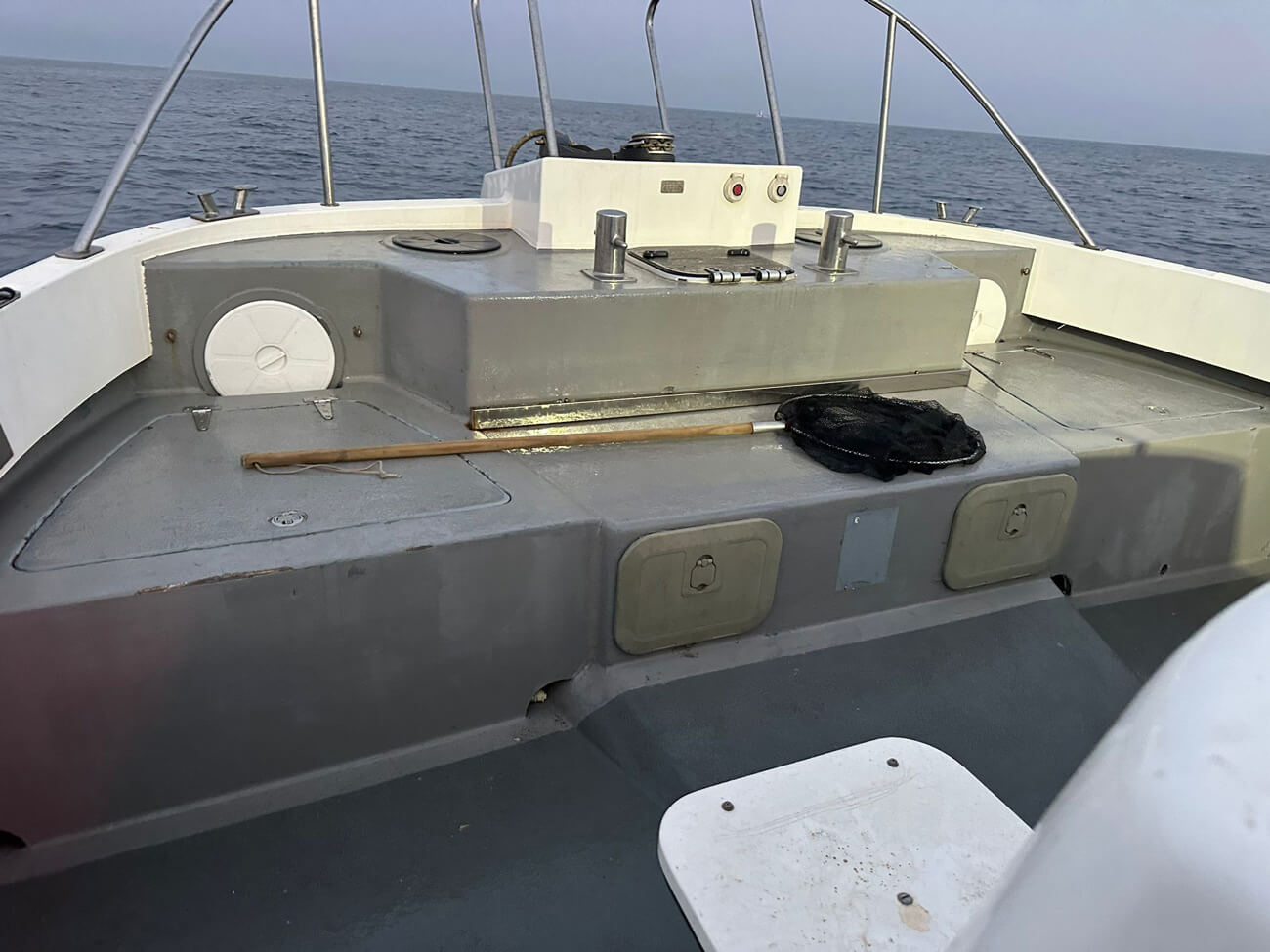 15338-Cheetah-Marine-04