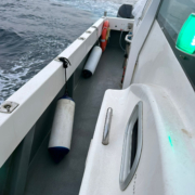 15338-Cheetah-Marine-06