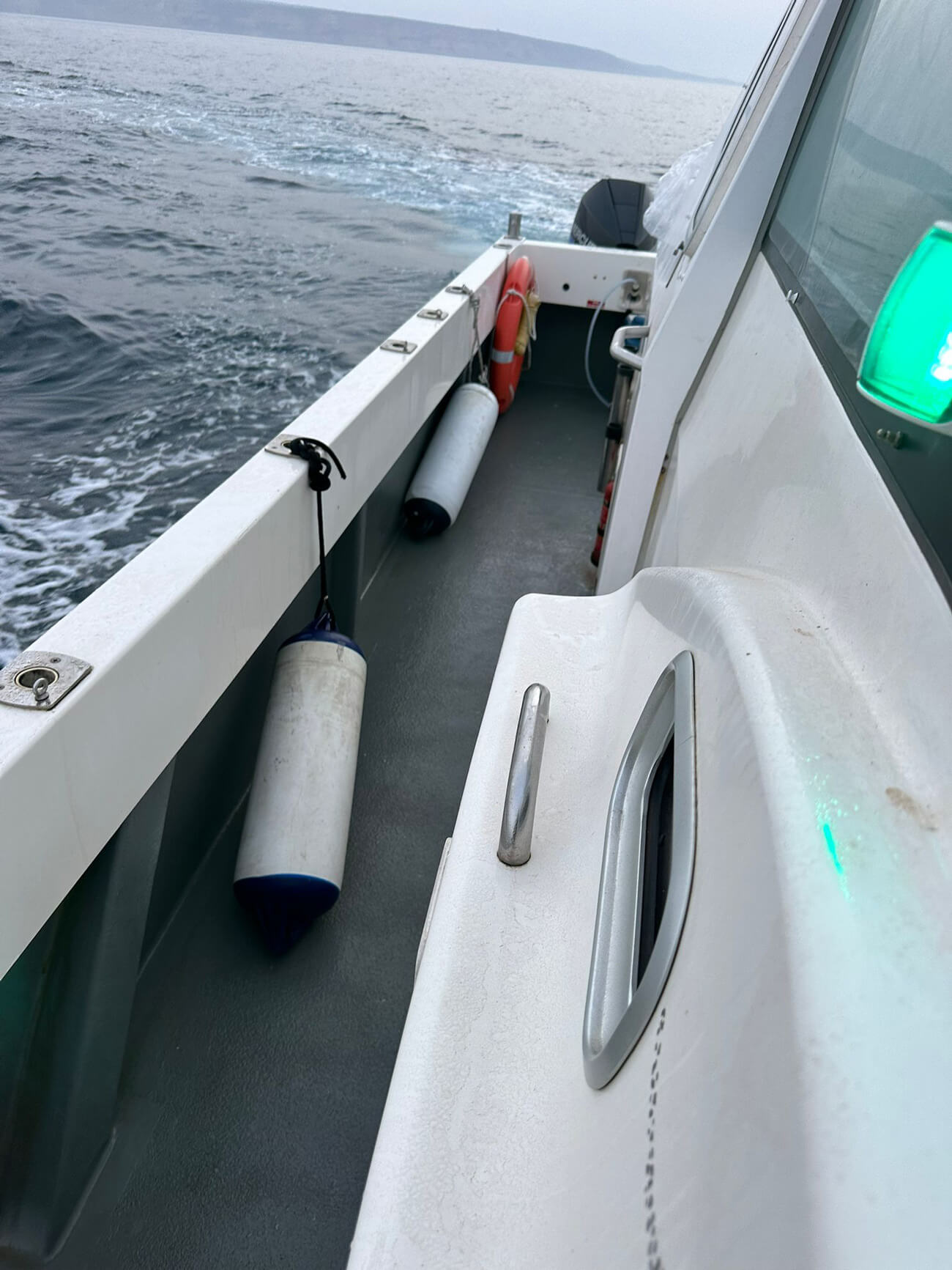 15338-Cheetah-Marine-06