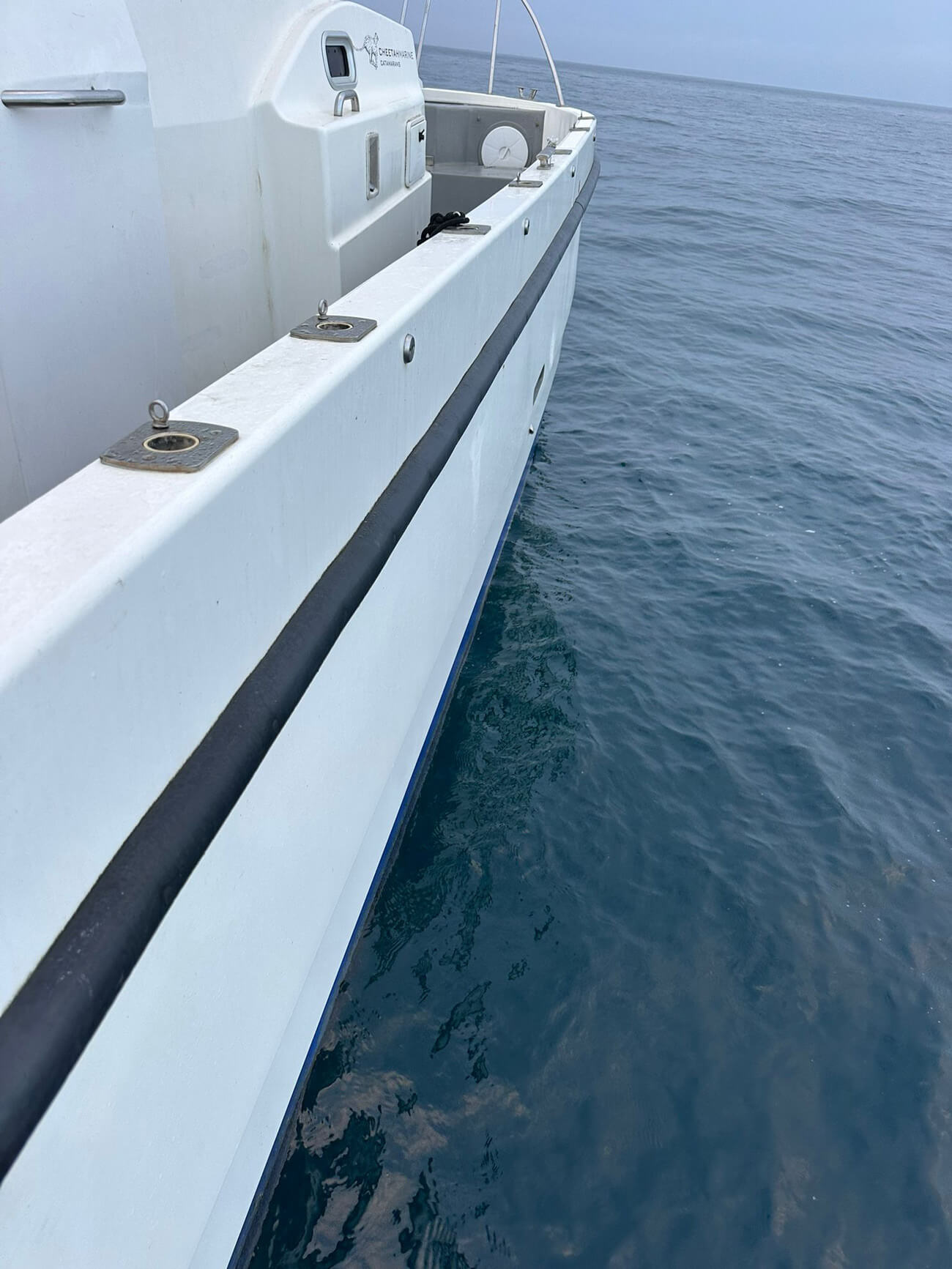 15338-Cheetah-Marine-07