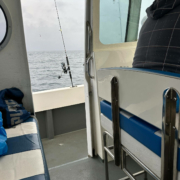 15338-Cheetah-Marine-09