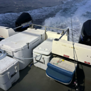 15338-Cheetah-Marine-10