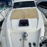 15290-Rodman-Spirit-R42-02