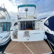 15290-Rodman-Spirit-R42-03