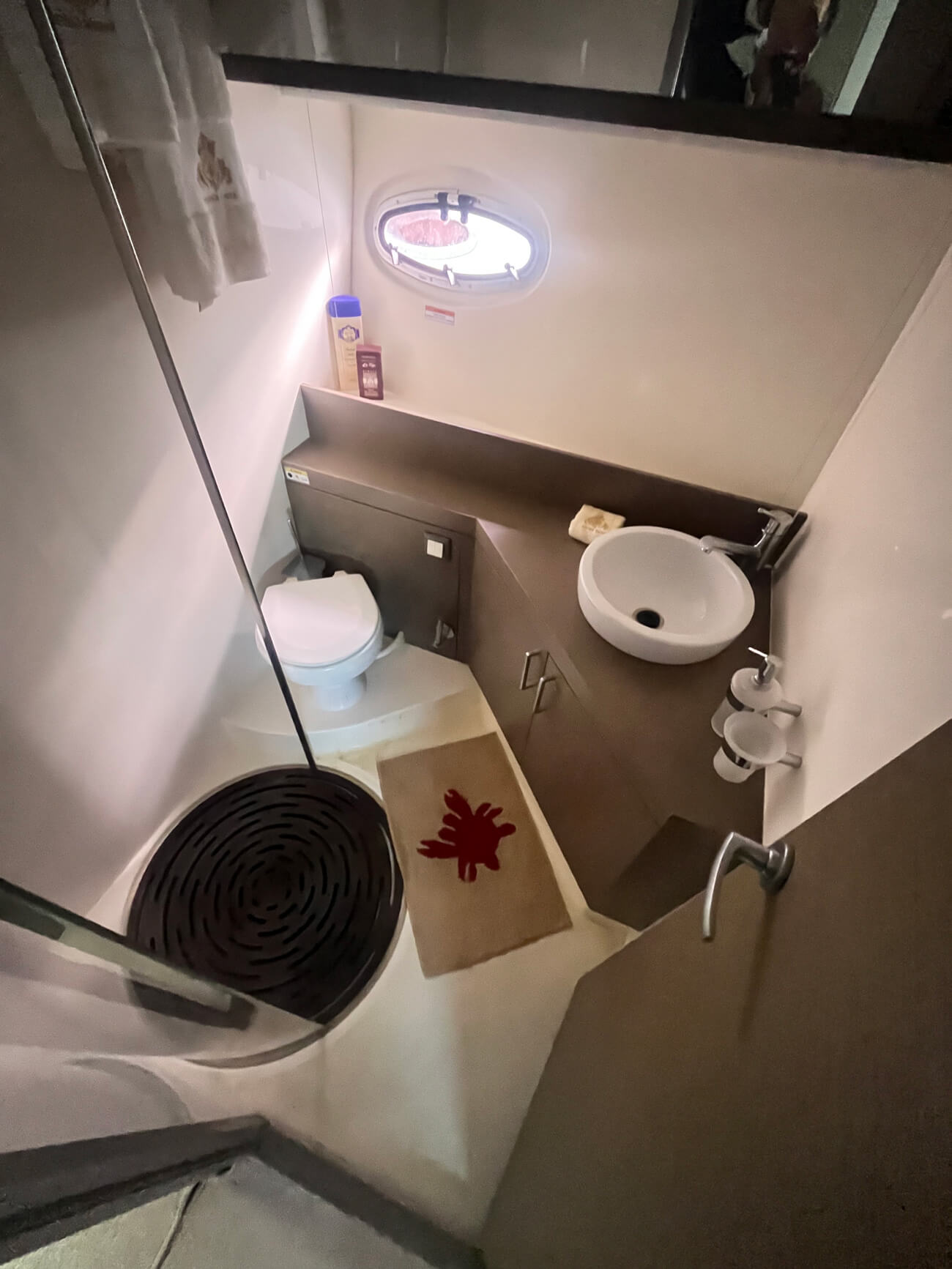 15290-Rodman-Spirit-R42-12