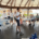 Team building organizado por I. Castañer Yachts para ARAG Seguros en la Bahía de Sotogrande.