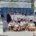 Tercer puesto en La Malaga Sailing Cup